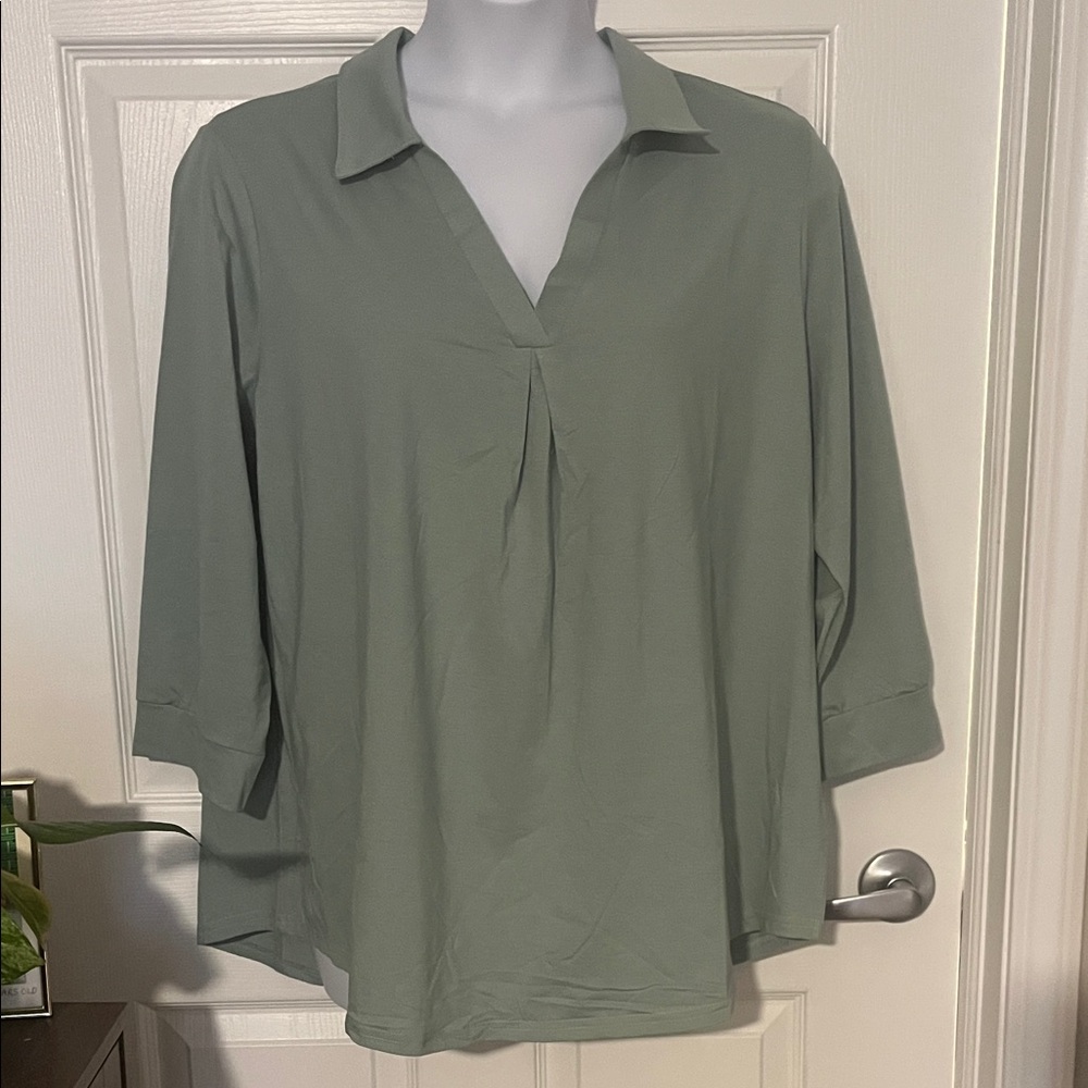 Relaxed Collared V-Neck Blouse in Sage Green 2xl